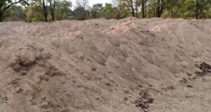 50 ट्रिप अवैध रेत जब्त