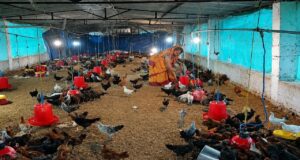 मजदूरी करने वाली रानी यादव बनी गांव की सफल महिला व्यवसायी