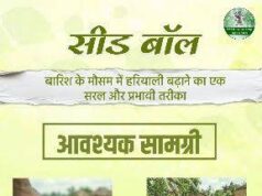 विशेष लेख : सीड बॉल अभियान- हरियाली बढ़ाने का सरल और प्रभावी माध्यम