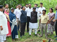 धमतरी जिले में 200 एकड़ से बढ़ाकर 600 एकड़ तक औषधीय खेती के विस्तार का लक्ष्य
