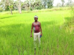 छत्तीसगढ़ में लक्ष्य का 98 प्रतिशत बोनी पूर्ण