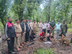 मृत भालू के नाखून काटकर ले जाने वाले दो आरोपी गिरफ्तार