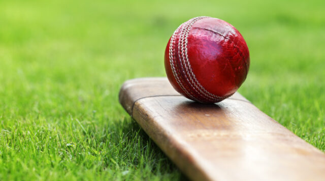 cricket-1