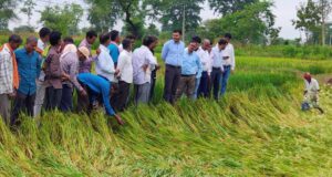 अर्नब तूफान से प्रभावित किसानों को राहत देने सक्रिय हुआ प्रशासन, फसल क्षति का सर्वे शुरू